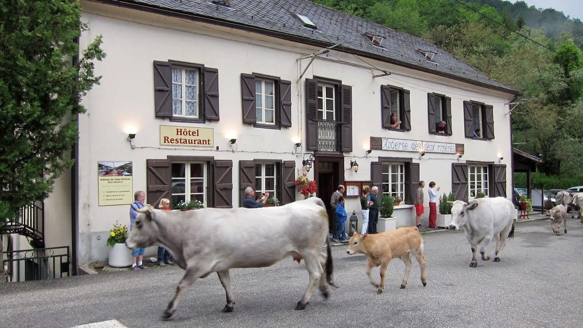 Auberge Des Deux Rivieres Seix 0*,